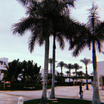 фото из отзыва ID 1920405