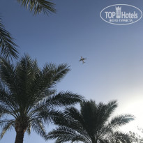 фото из отзыва ID 1920405