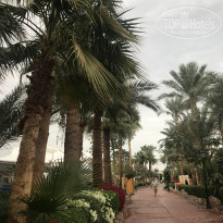 фото из отзыва ID 1920405