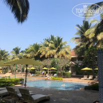 фото из отзыва ID 1920372