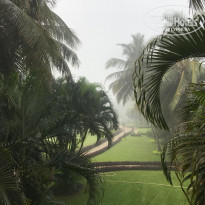 фото из отзыва ID 1920372