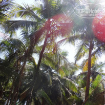 фото из отзыва ID 1920422