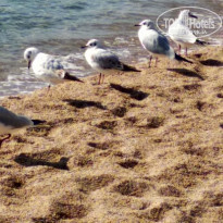 фото из отзыва ID 1920331