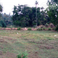 фото из отзыва ID 1920422