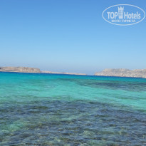 фото из отзыва ID 1920558