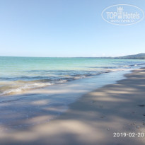 фото из отзыва ID 1920370