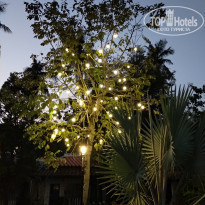 фото из отзыва ID 1920802