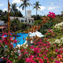 фото из отзыва ID 1920802