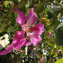 фото из отзыва ID 1920802