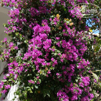 фото из отзыва ID 1920802