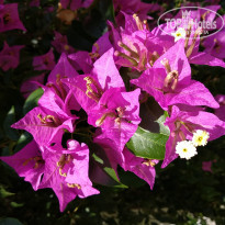 фото из отзыва ID 1920802