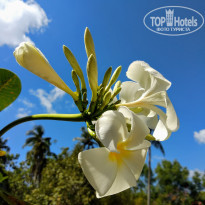 фото из отзыва ID 1920802