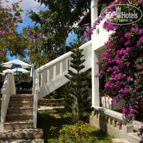 фото из отзыва ID 1920802