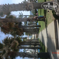 фото из отзыва ID 1920813