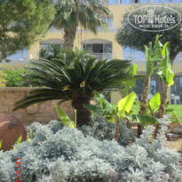 фото из отзыва ID 1920813