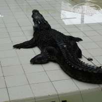 фото из отзыва ID 1920837