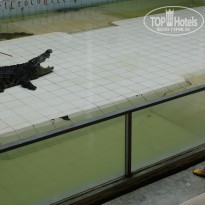 фото из отзыва ID 1920837