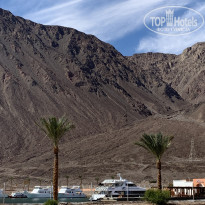 фото из отзыва ID 1920874