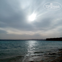 фото из отзыва ID 1920878