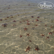 фото из отзыва ID 1921003