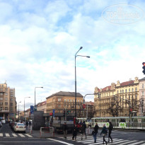 фото из отзыва ID 1921008