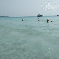 фото из отзыва ID 1921011