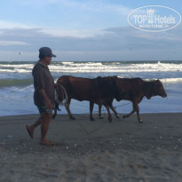 фото из отзыва ID 1921197