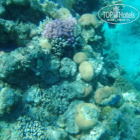 фото из отзыва ID 1921185