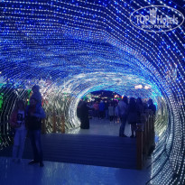 фото из отзыва ID 1921185