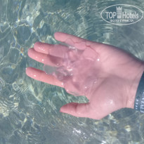 фото из отзыва ID 1921185