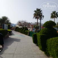 фото из отзыва ID 1921185