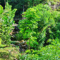 фото из отзыва ID 1921056