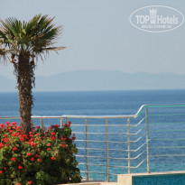 фото из отзыва ID 1921186