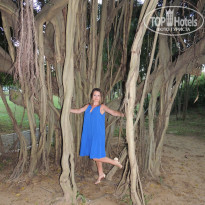 фото из отзыва ID 1921280