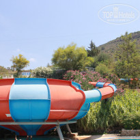 фото из отзыва ID 1921186