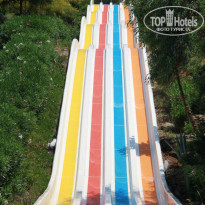 фото из отзыва ID 1921186