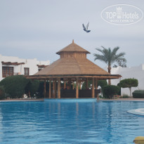 фото из отзыва ID 1921371