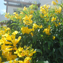 фото из отзыва ID 1921371