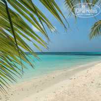 фото из отзыва ID 1921395