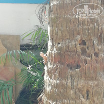 фото из отзыва ID 1920422