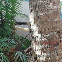 фото из отзыва ID 1920422