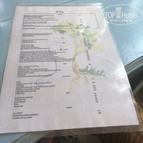 фото из отзыва ID 1921418