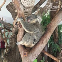 фото из отзыва ID 1921460