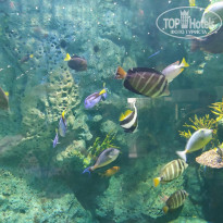 фото из отзыва ID 1921579