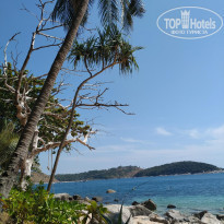 фото из отзыва ID 1921579