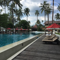 фото из отзыва ID 1921597