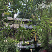 фото из отзыва ID 1921597