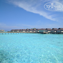 фото из отзыва ID 1921713