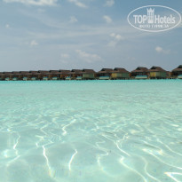 фото из отзыва ID 1921713