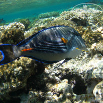 фото из отзыва ID 1921735